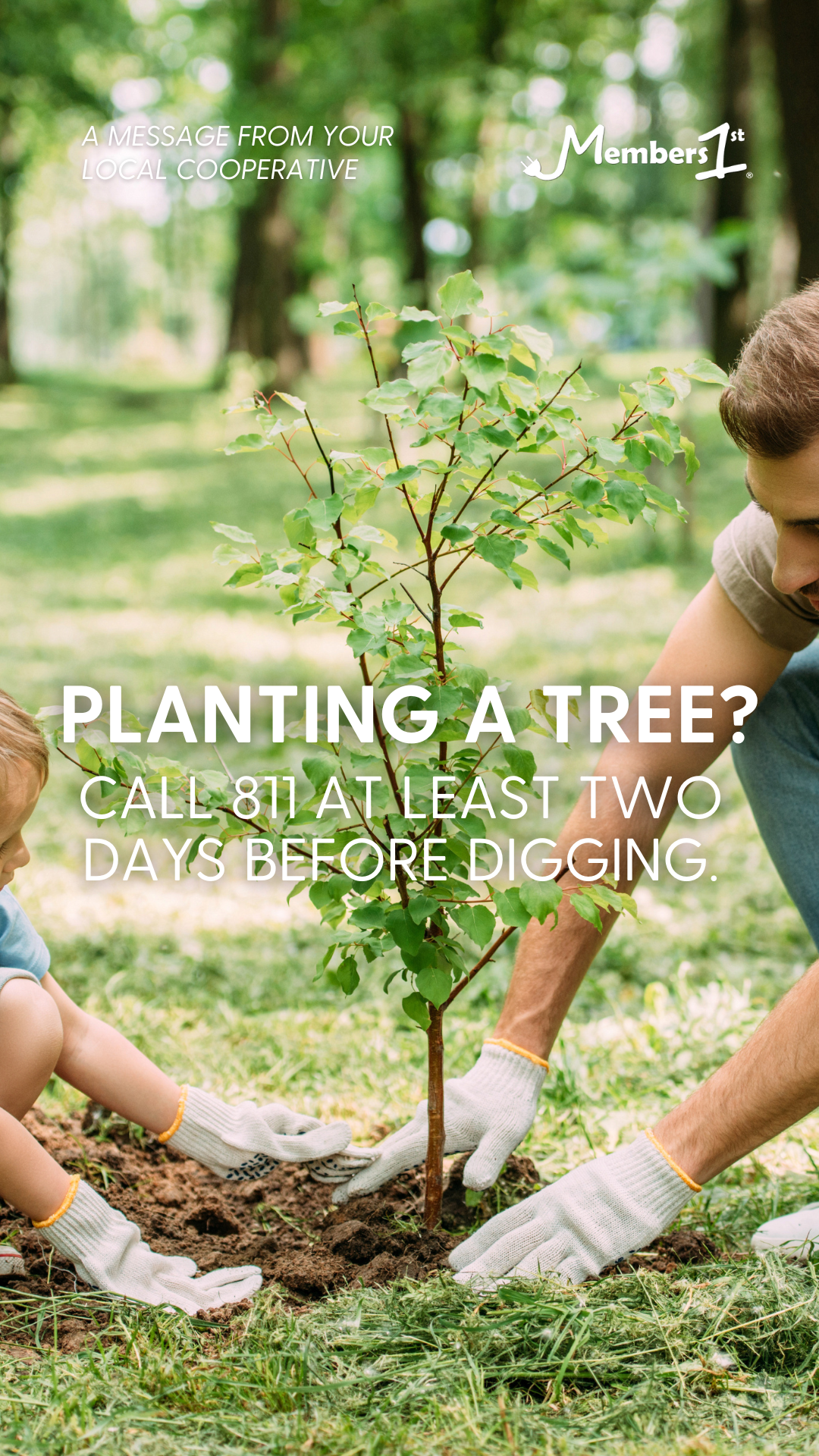 Tree Planting