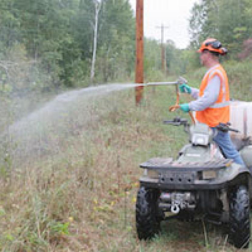 Spraying