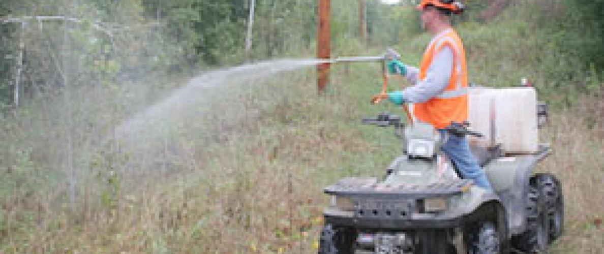 Spraying